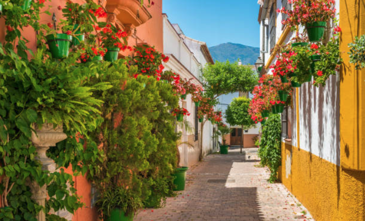 Captura de pantalla 2025-01-02 a las 14.46.59